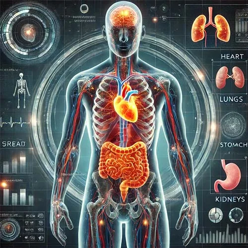 Full body health   chek up 